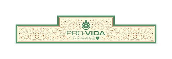 Pañoleta nueva Provida_600