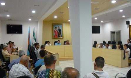 Pleno del Ayuntamiento de Mairena del Alcor