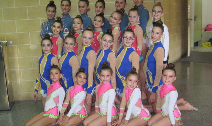 Palmarés del Club de Gimnasia Rítmica Maharana en el Campeonato de Andalucía Conjuntos