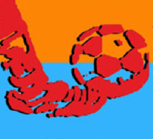 Torneo futbol sala logo falso_300