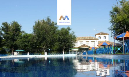 cursos-de-natacion-horario-piscina-municipal-verano