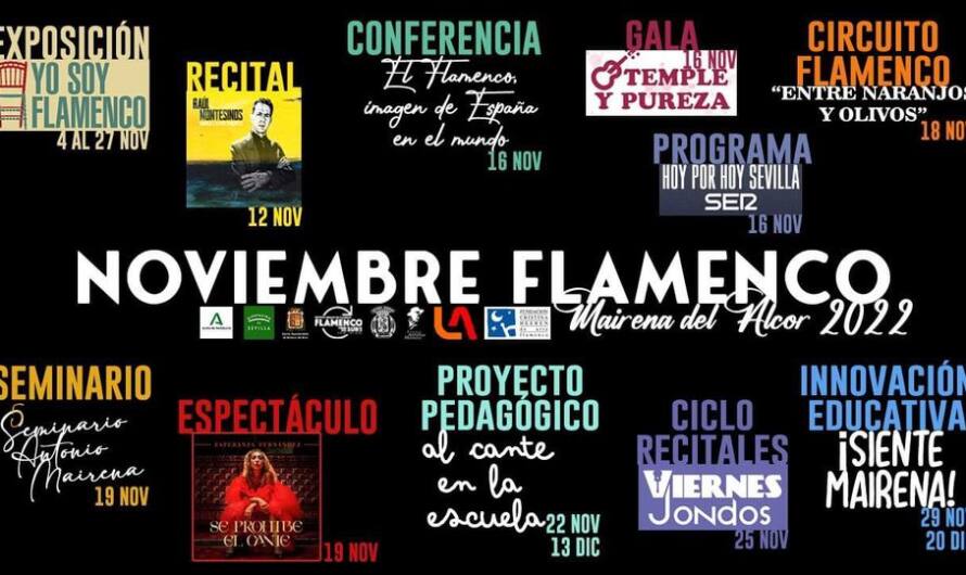 Mairena celebra el día del flamenco con Cante, Baile y Toqe